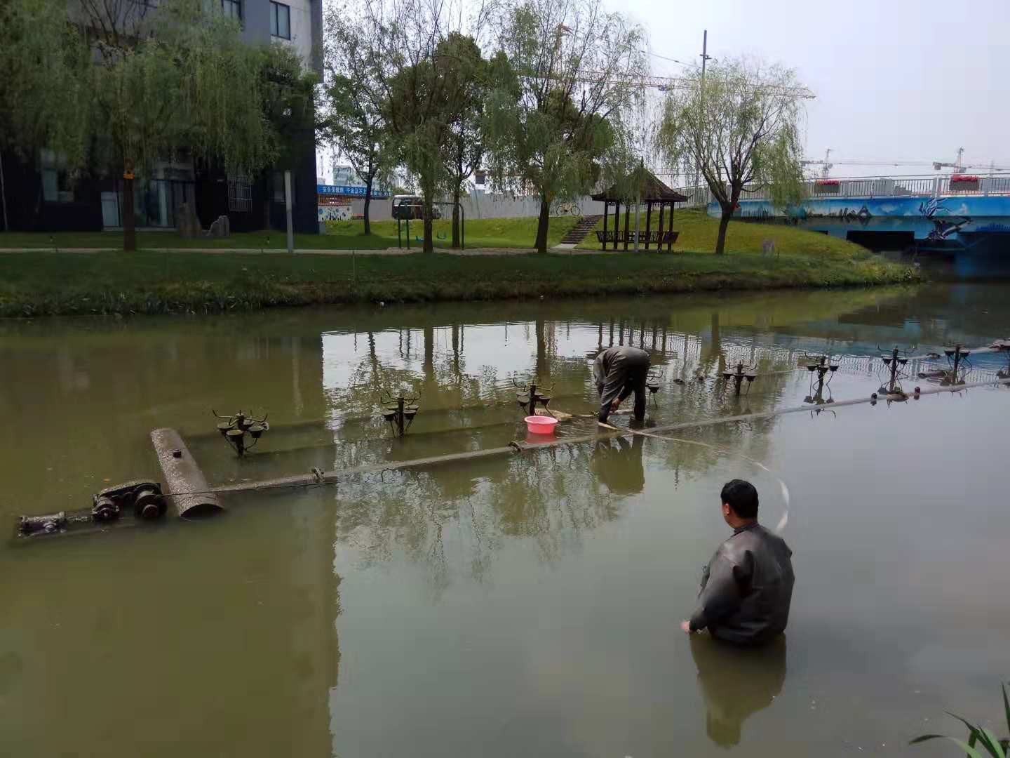 黃浦音樂噴泉哪家好?